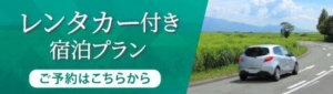 「竹野屋」レンタカー付き宿泊プラン